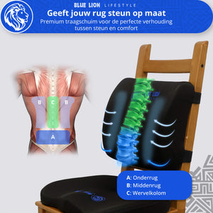 Ergonomische Rugsteun