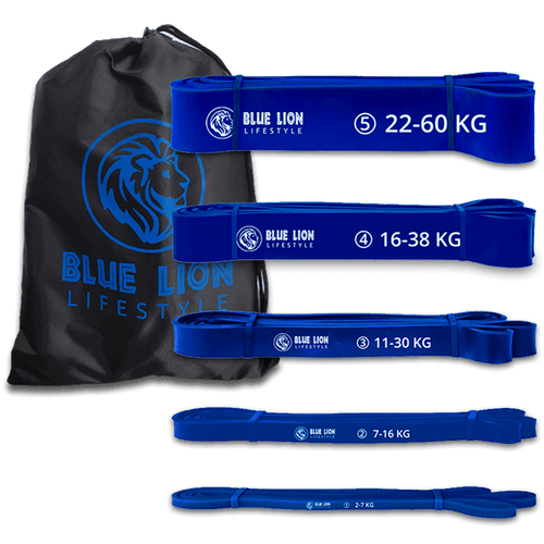 Vijf Blue Lion powerbands met opbergtas