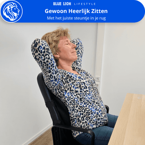 Ergonomische Rugsteun